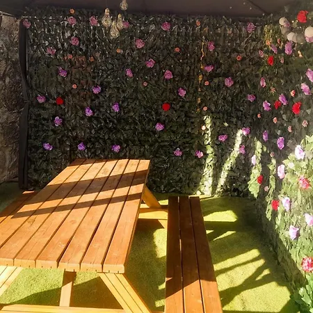 Casa Incrivel Com Lindo Jardim * Santar